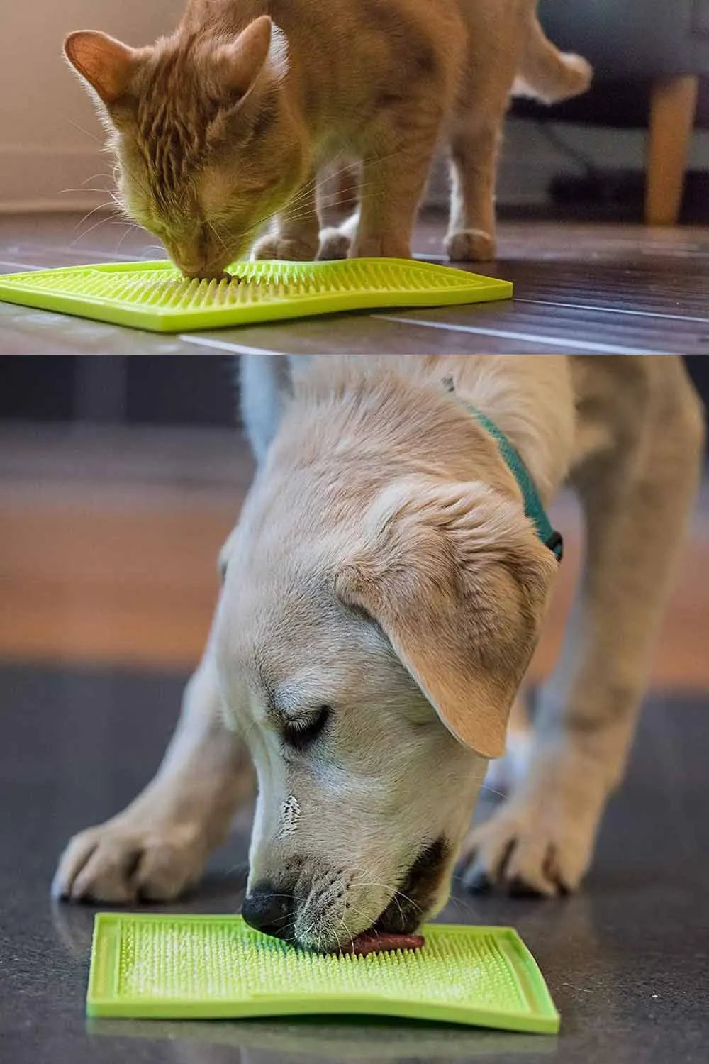 Pawsome Calming Lick Mat (Anti-Anxiety Pet Feeder)