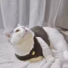 Velvet Pet Sweater XXXS | Winter Pullover for Kittens & Small Animals