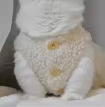 Velvet Pet Sweater XXXS | Winter Pullover for Kittens & Small Animals
